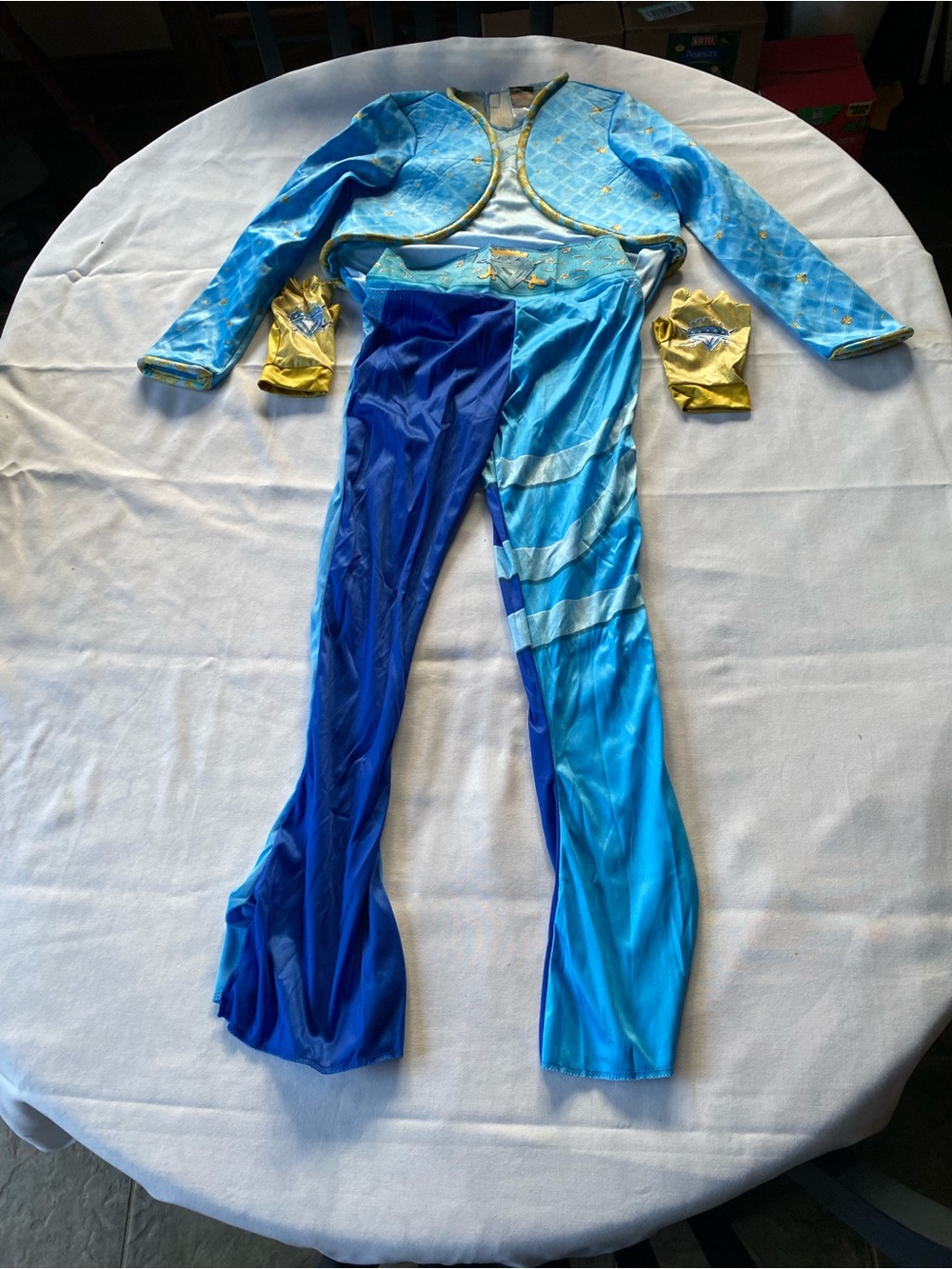 Disney Descendants Rise Of Red Chloe Child Halloween Costume Size Large 10/12